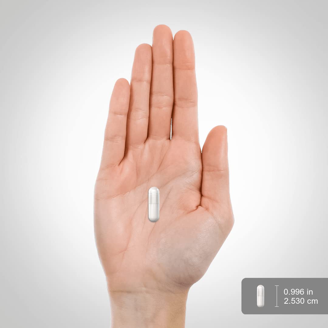 MSM Supplement 1000mg 150 Powder Capsules N91796