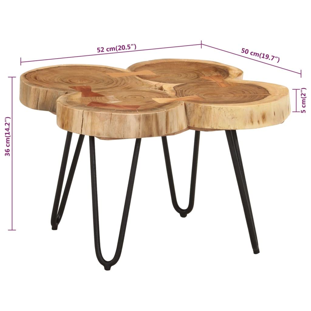 Sheesham Wood Coffee Table with Iron Frame F796754