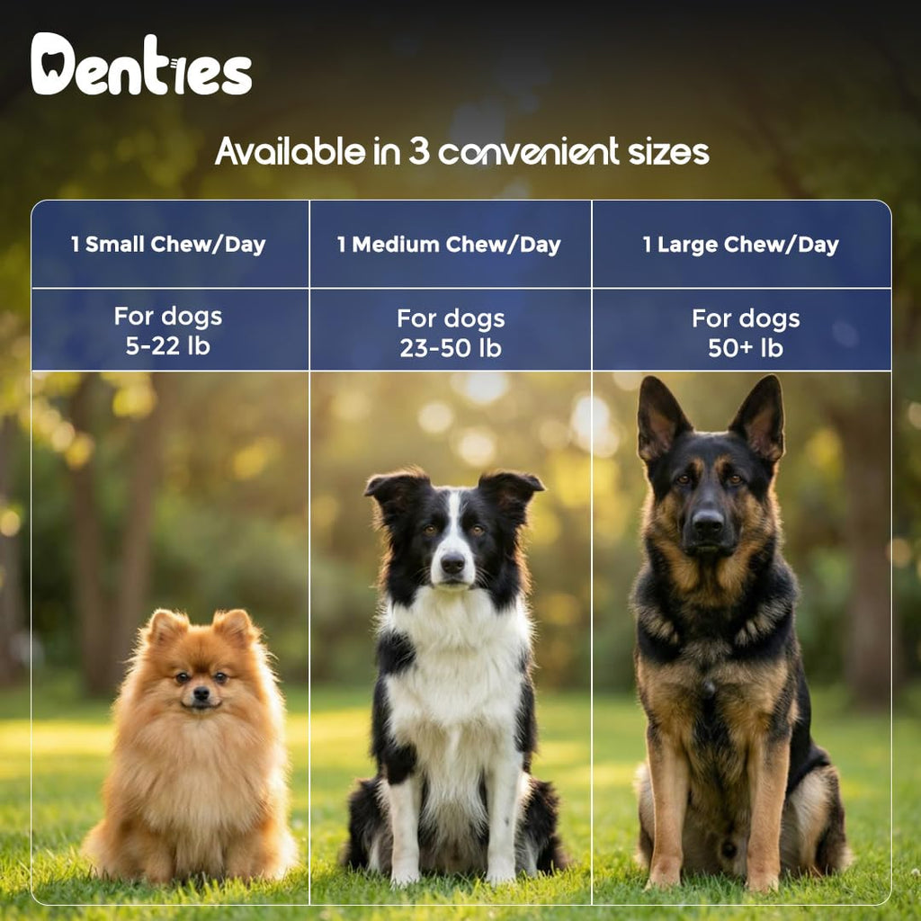 Dental Chews for Dogs 16oz 10 Count U528