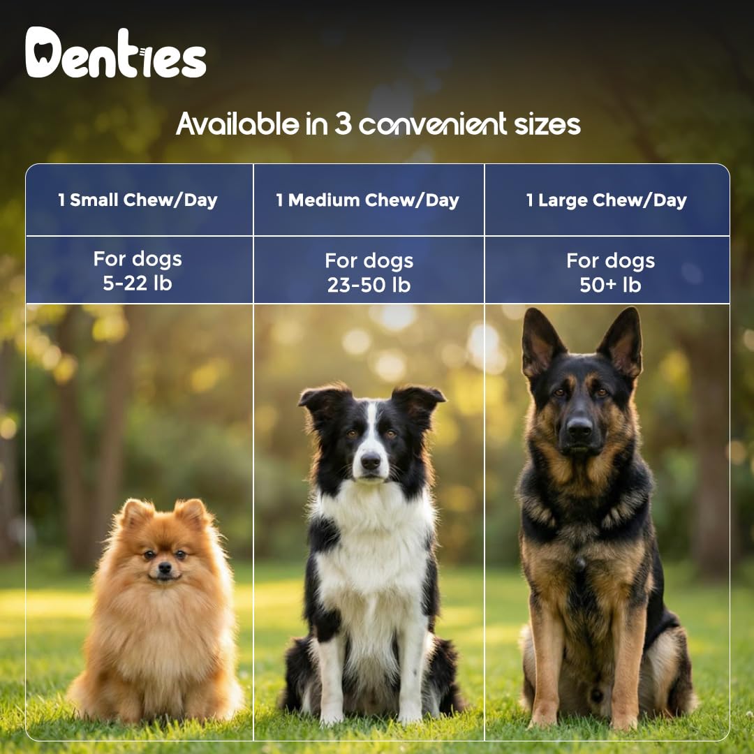 Dental Chews for Dogs 16oz 10 Count U528