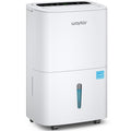 80 Pints Energy Star Dehumidifier with Drain Hose T567037