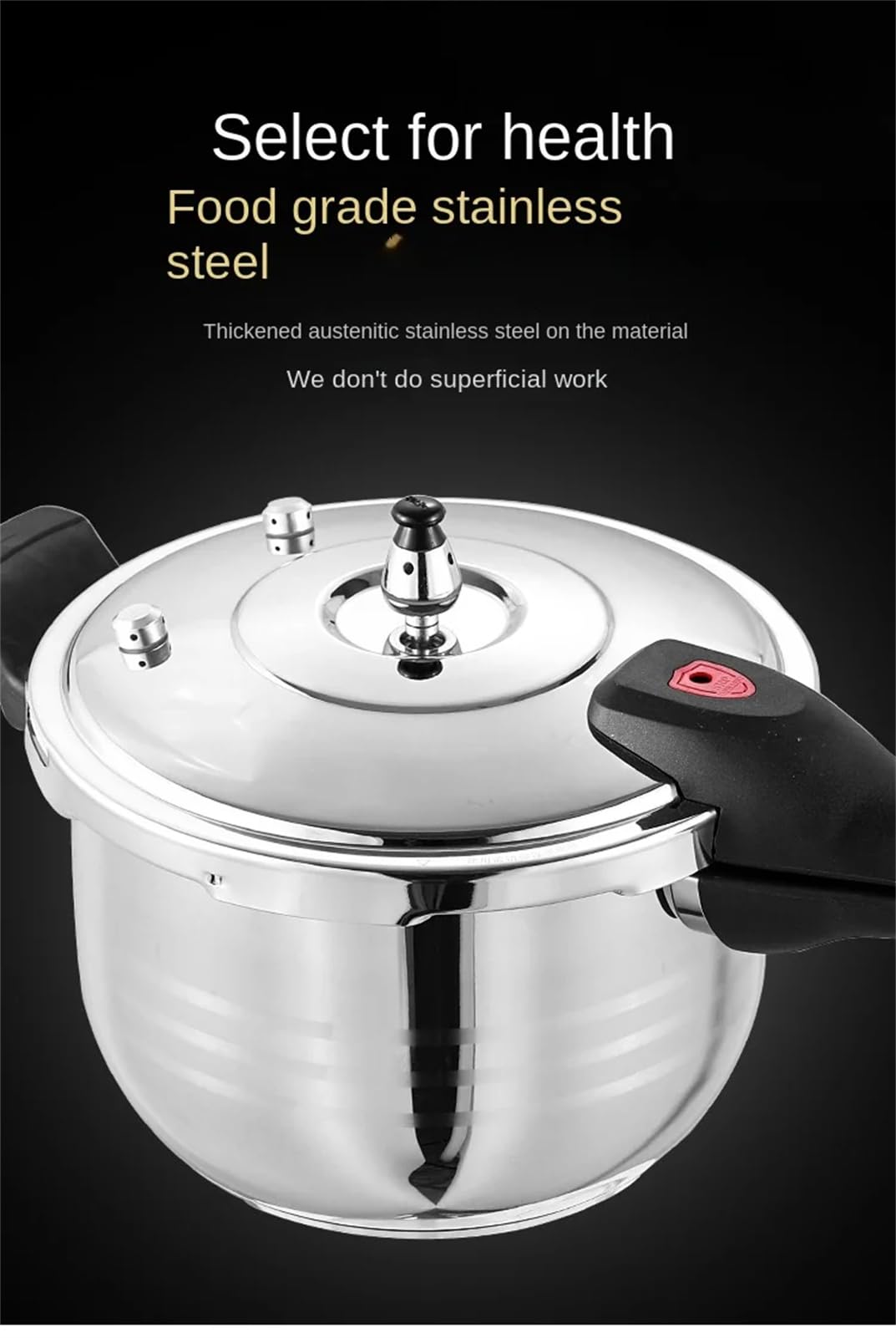 Stainless Steel 12.3L Pressure Cooker V244
