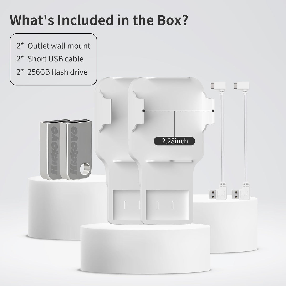256GB USB Flash Drive & Wall Mount (2 Pack) F467