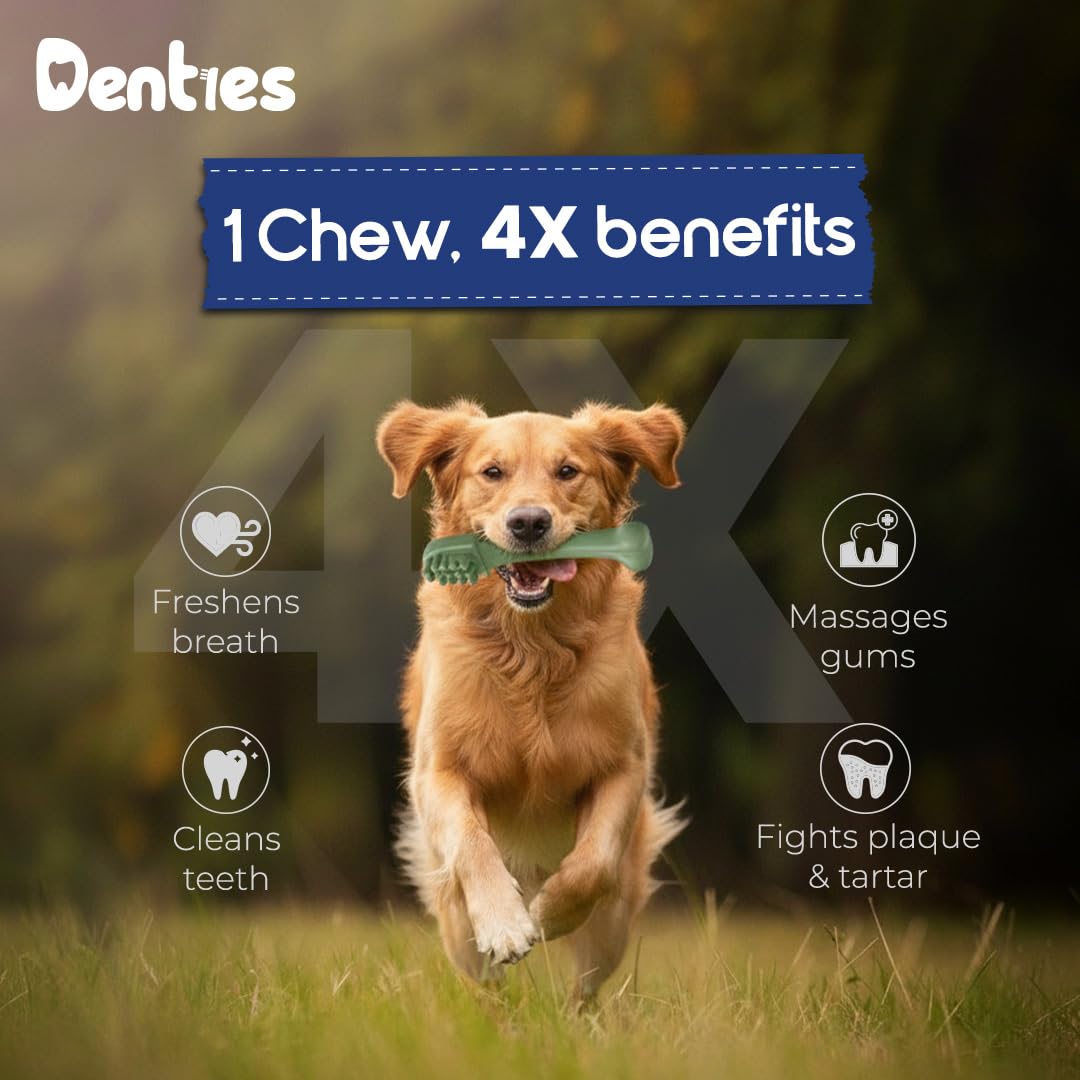 Dental Chews for Dogs 16oz 10 Count U528