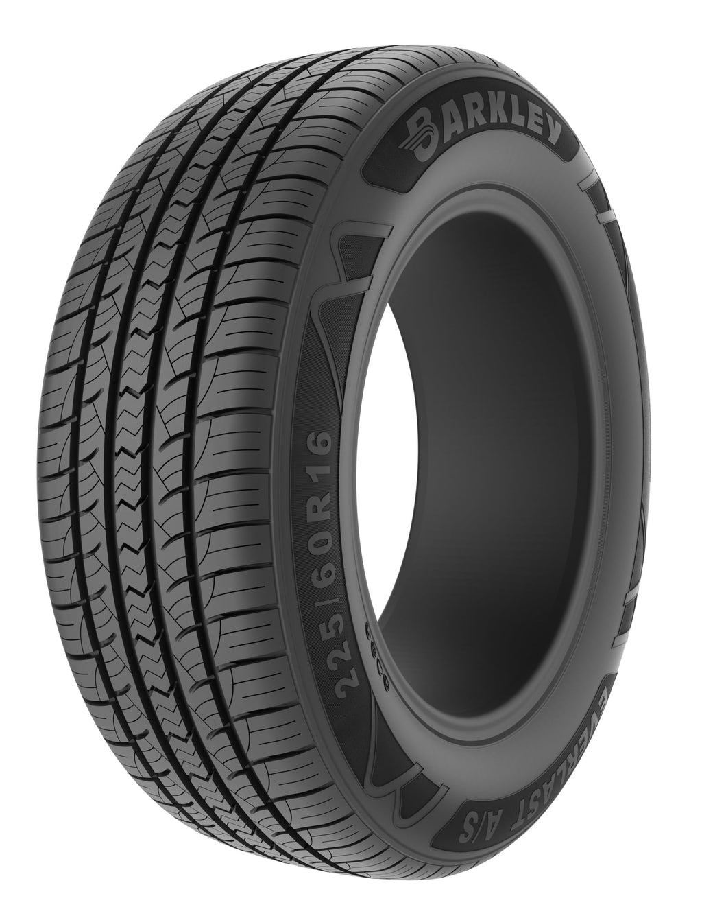 All Season Tire W541