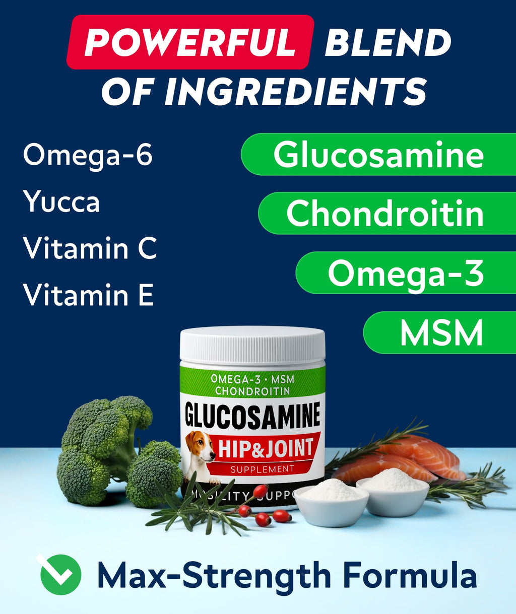 Glucosamine Chondroitin MSM Hip Joint Supplement Chews Z838