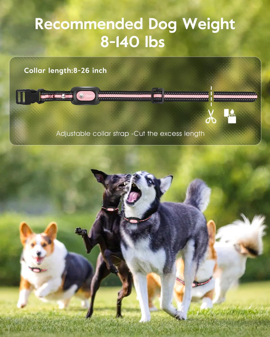 Pink Dog Training Collar with Remote S501749