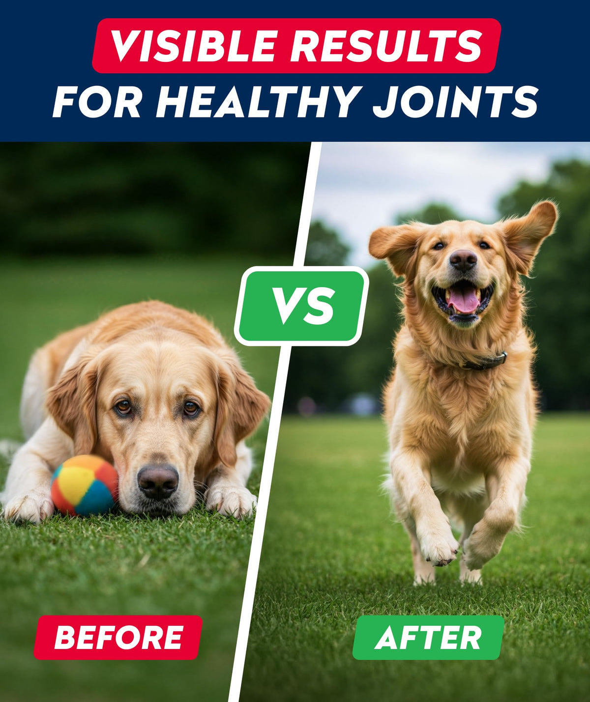 Glucosamine Chondroitin MSM Hip Joint Supplement Chews Z838