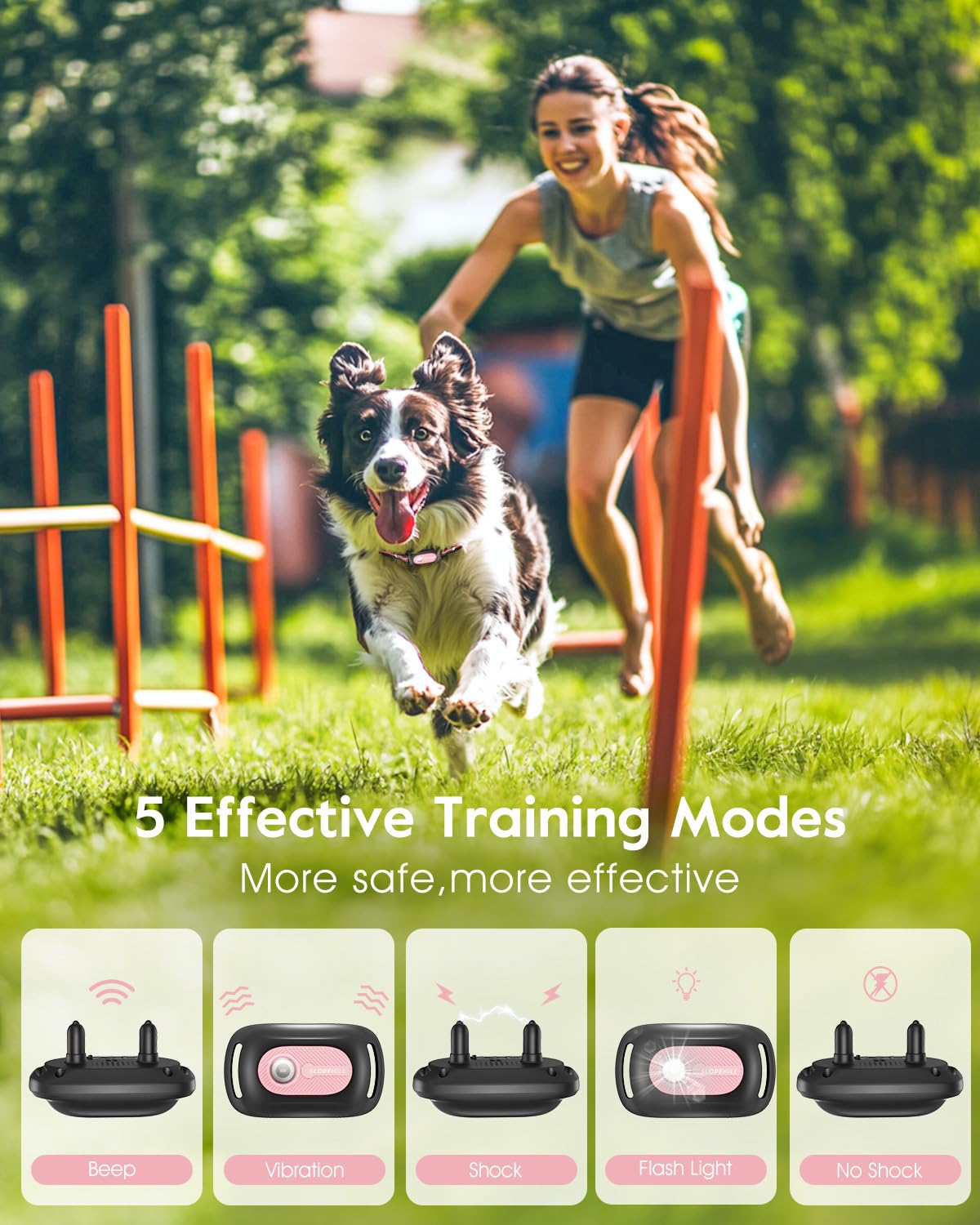 Pink Dog Training Collar with Remote S501749