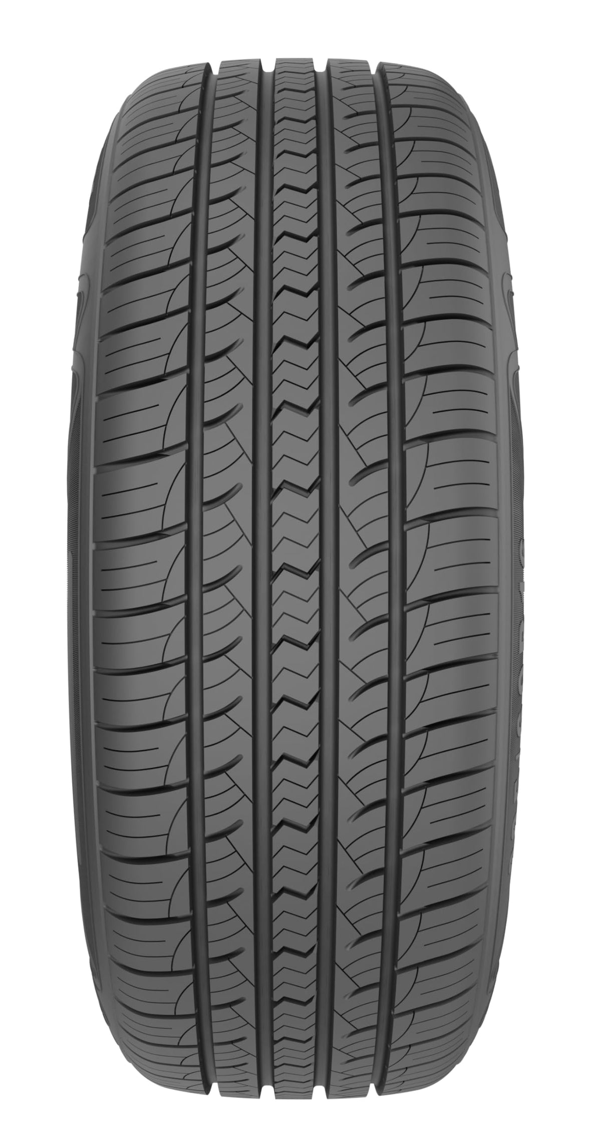 All Season Tire W541
