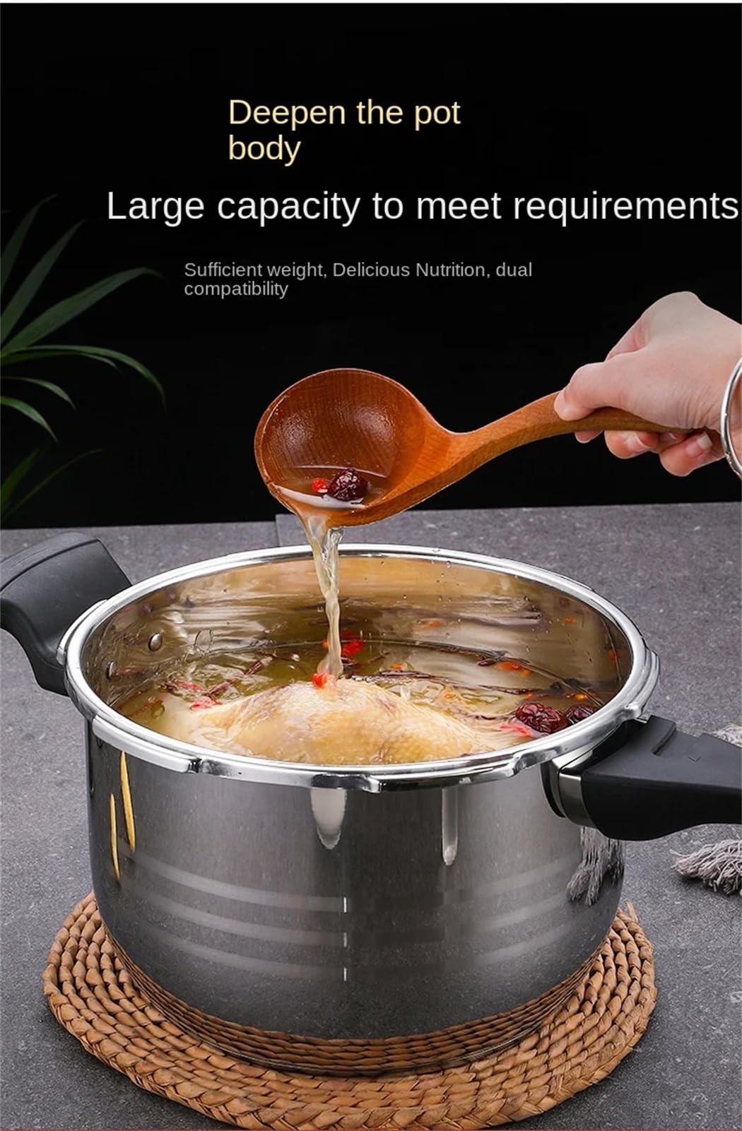 Stainless Steel 12.3L Pressure Cooker V244