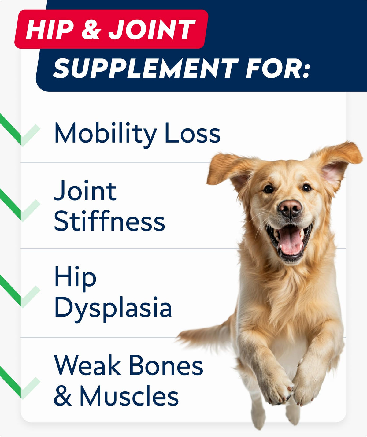 Glucosamine Chondroitin MSM Hip Joint Supplement Chews Z838