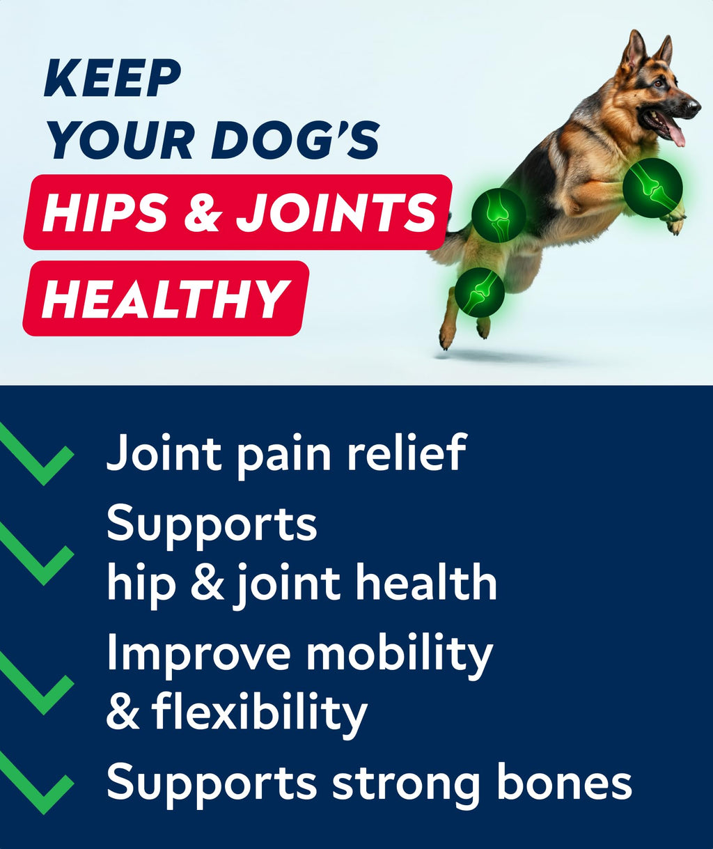 Glucosamine Chondroitin MSM Hip Joint Supplement Chews Z838