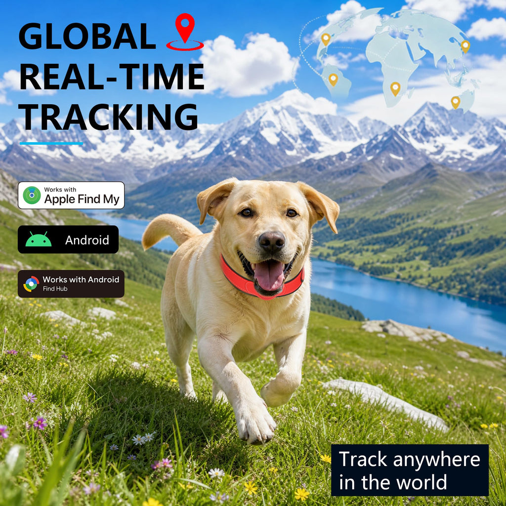GPS Tracker for Dogs, Pet Location Tracker with Collar T269