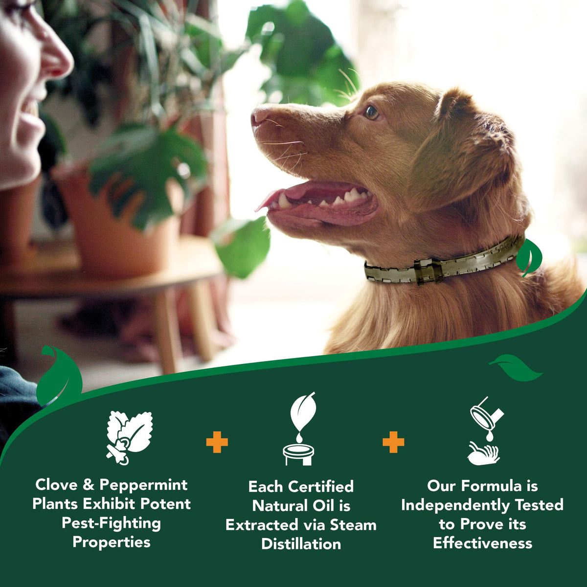 Plant-Based Flea & Tick Prevention Collar for Dogs L553762