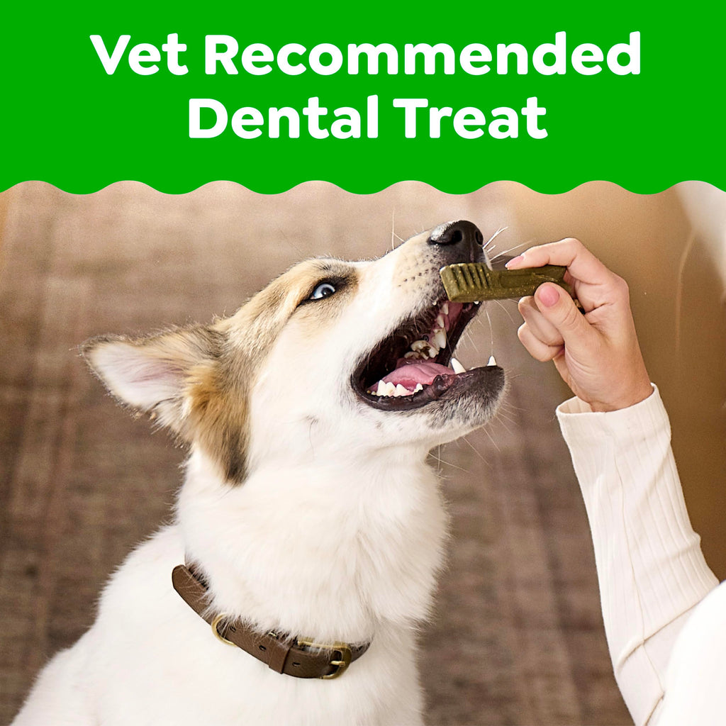 Original Chicken Flavor 36 Count Dental Dog Treats O138