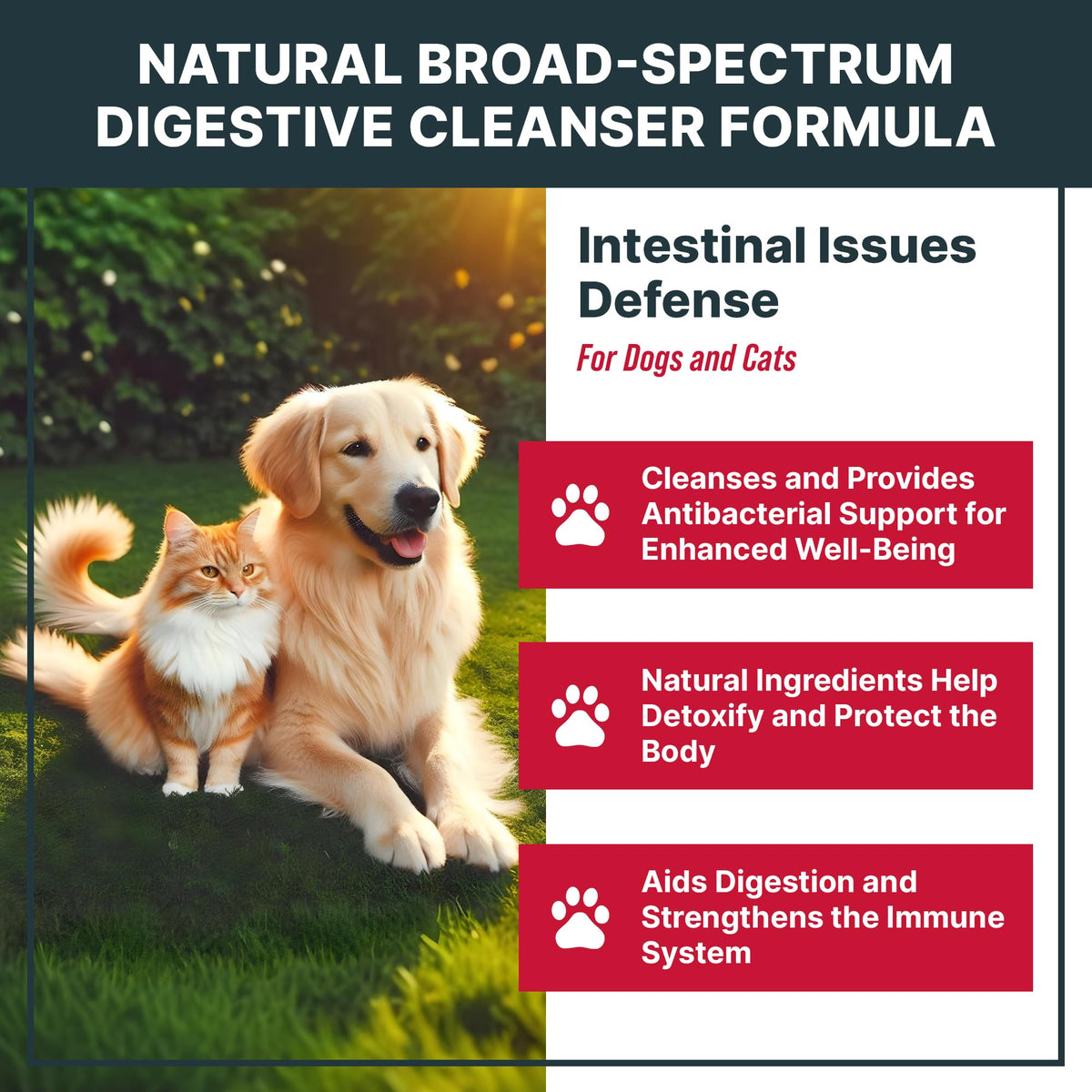 Natural Herbal Cleanser for Cats and Dogs Q56361