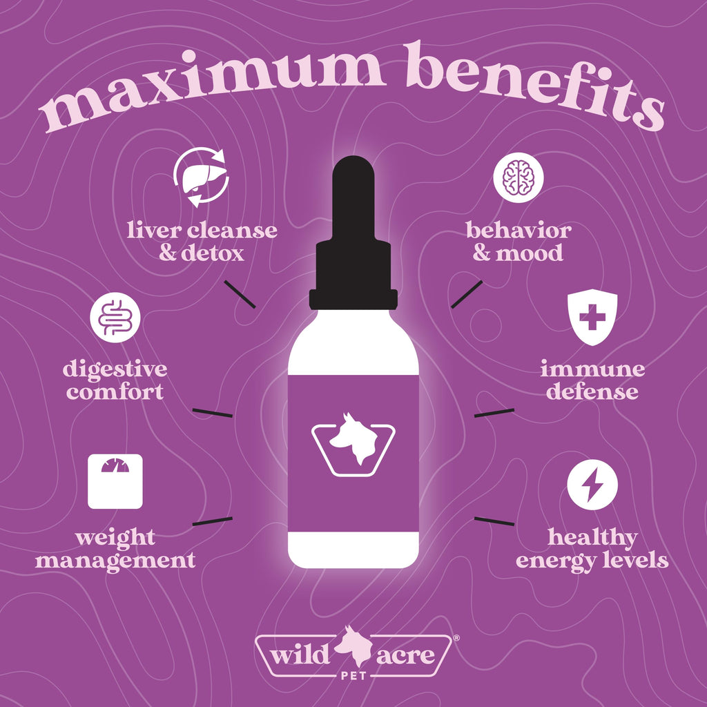 Milk Thistle for Dogs Liver Support 2 oz Z116