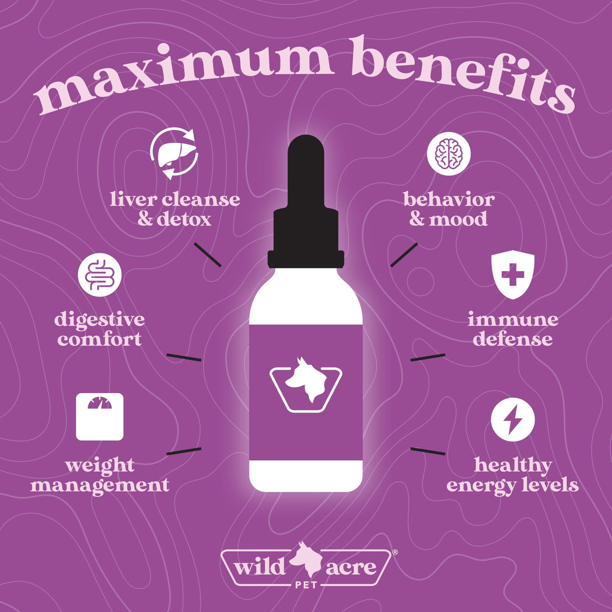 Milk Thistle for Dogs Liver Support 2 oz Z116