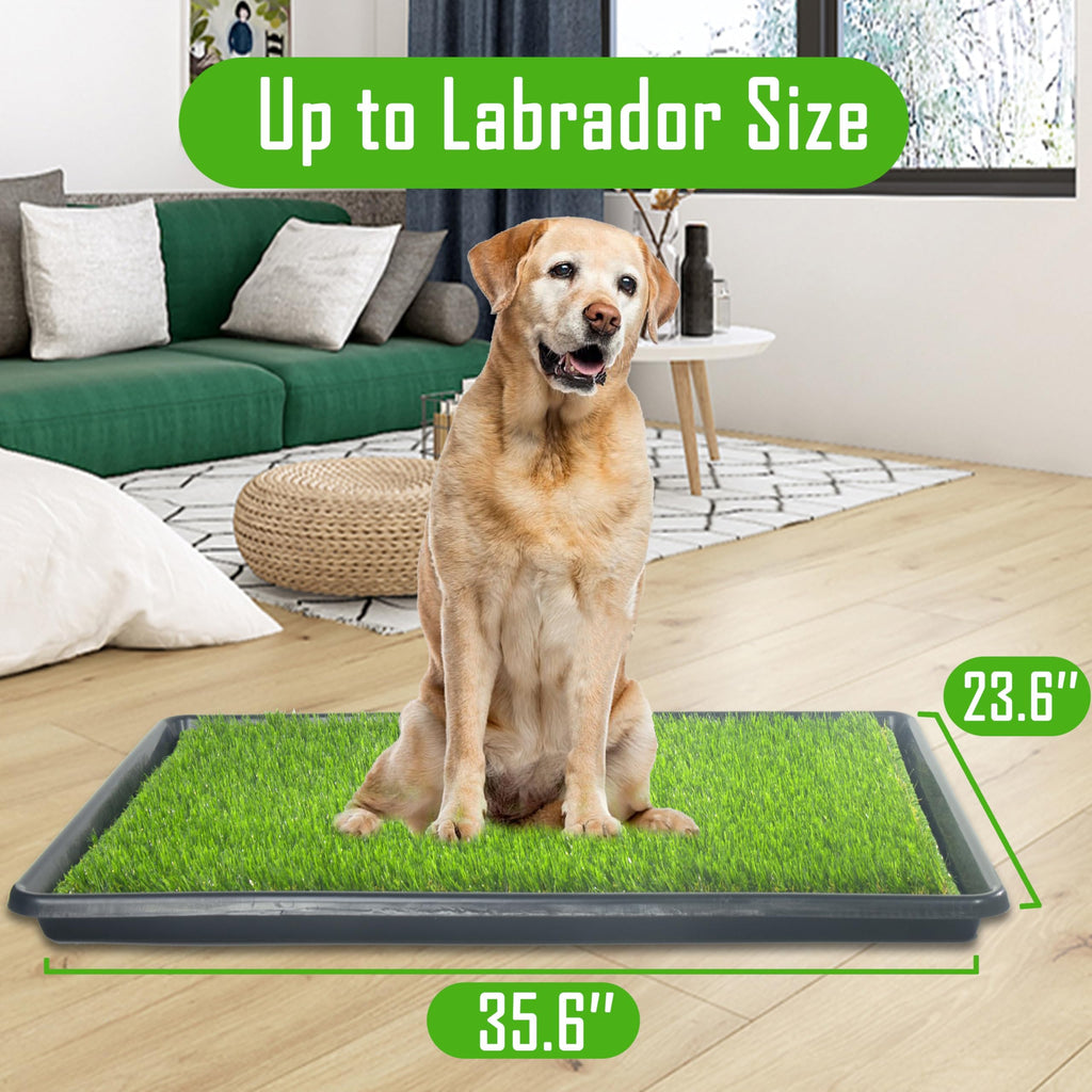 Reusable Artificial Grass Dog Loo System with Tray and Pee Pads, 35x23in F607252