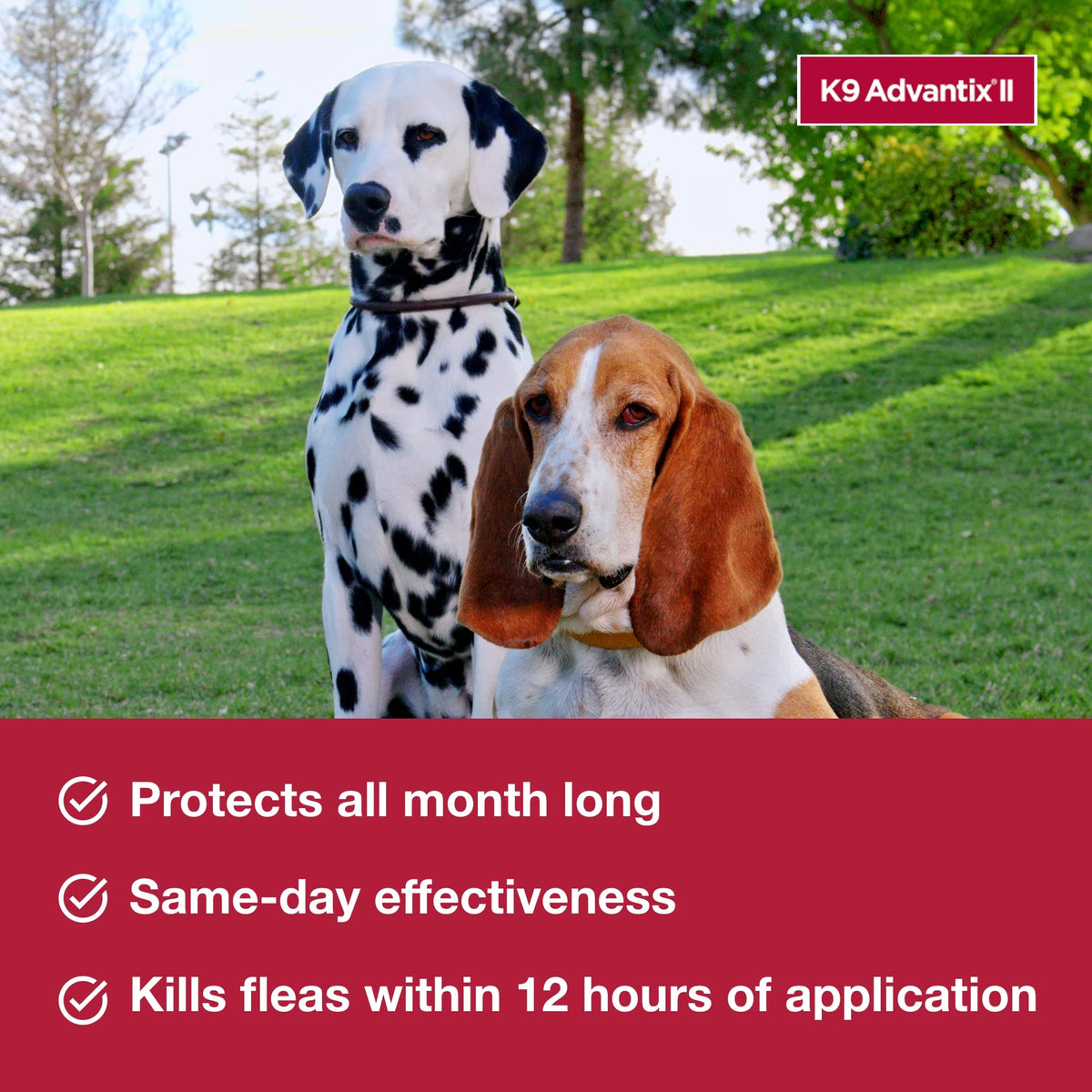 Flea, Tick & Mosquito Treatment & Prevention for Dogs Over 55 lbs G8607