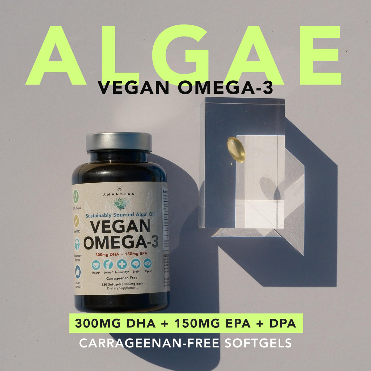 Vegan Omega-3 Algal Oil DHA EPA Softgels, 120ct I24174