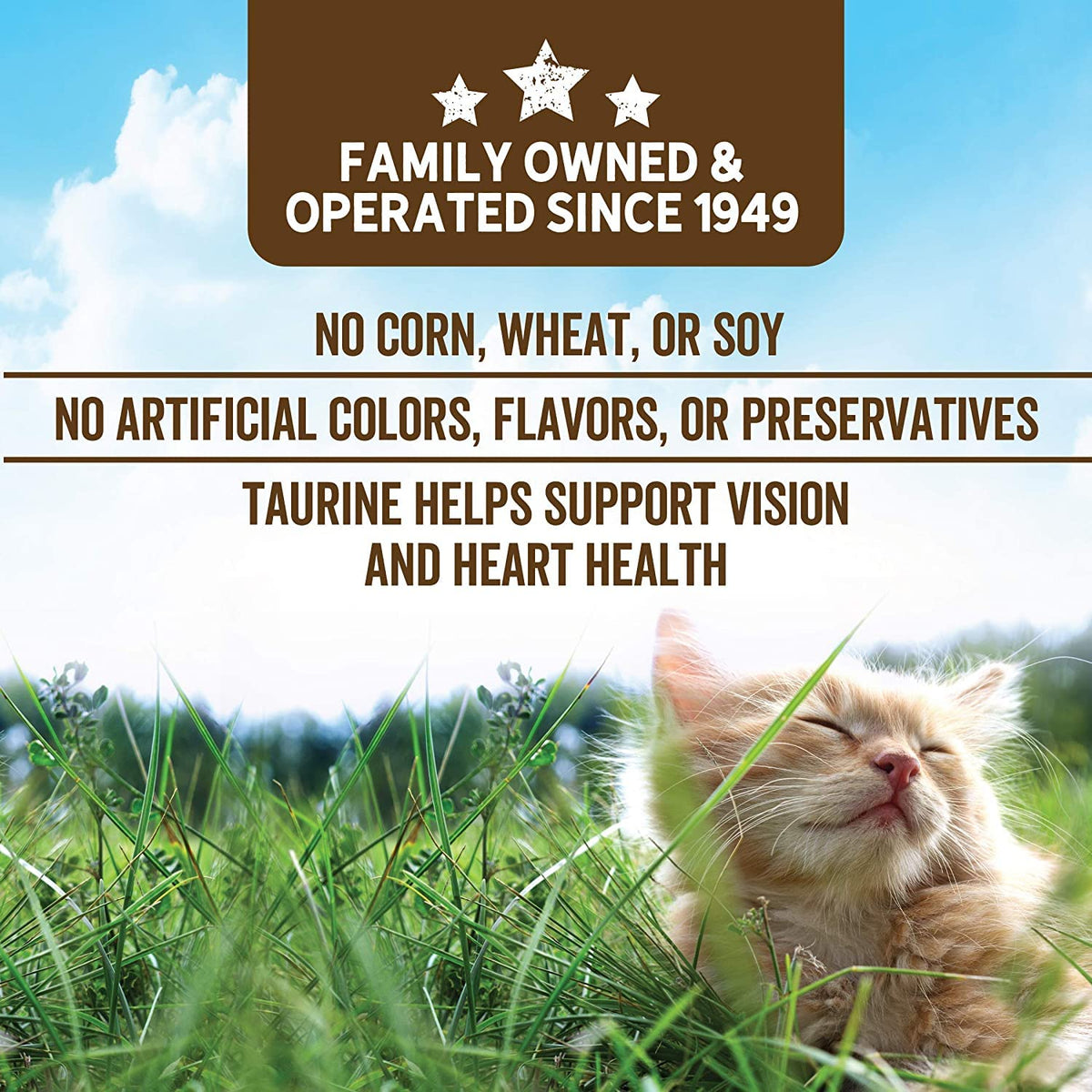 Grain Free Whitefish and Egg Cat Food H510