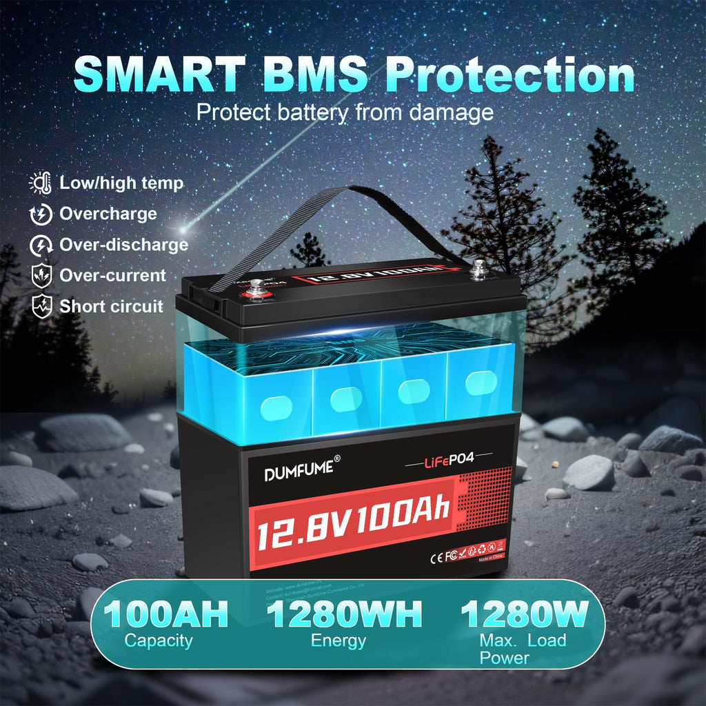 12V 100Ah LiFePO4 Battery Group 31 C348