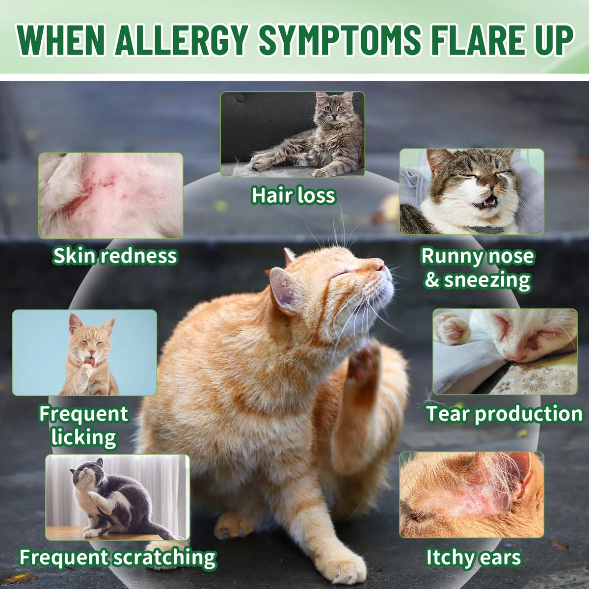 Cat Allergy & Hairball Relief Drops 60ml D4417