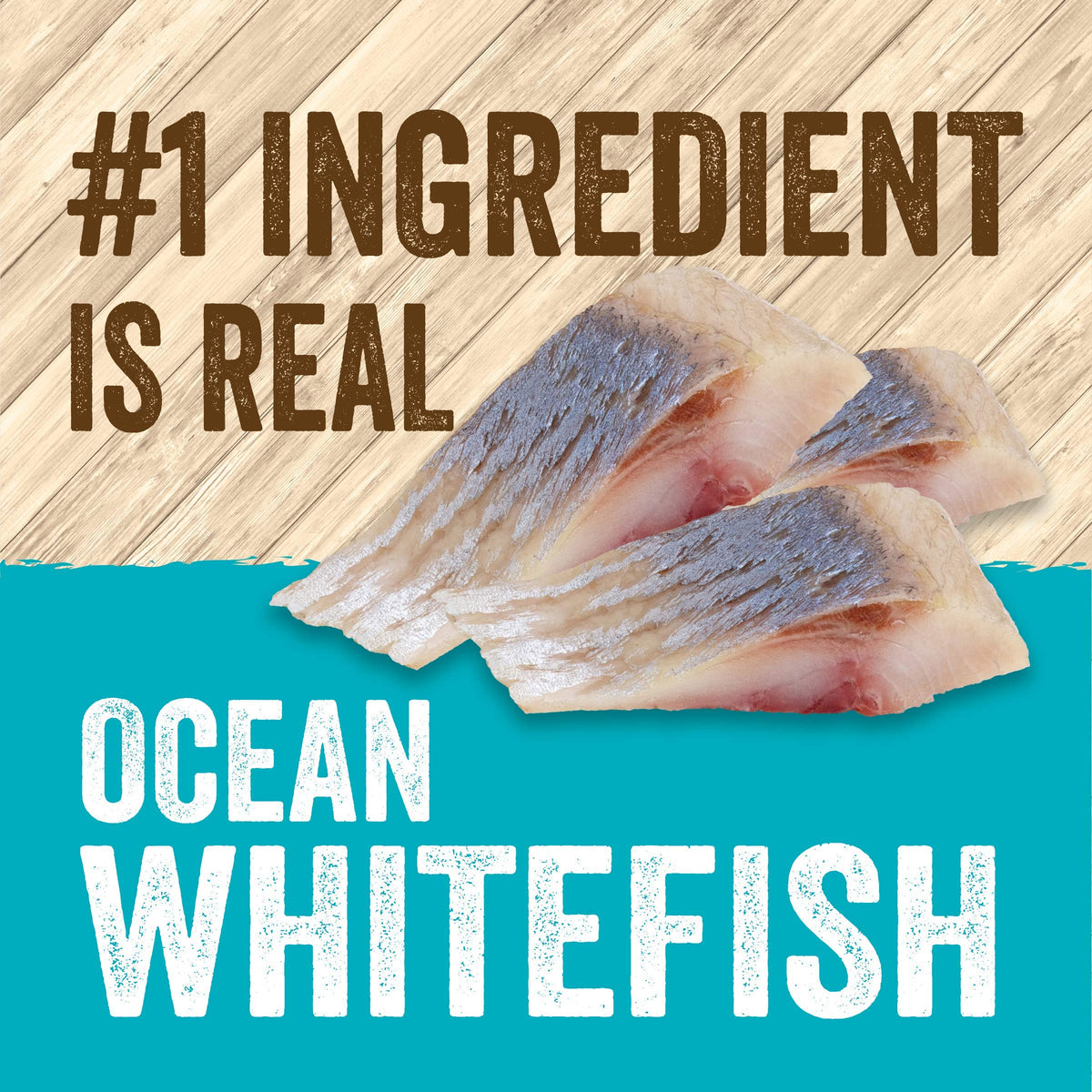 Grain Free Whitefish and Egg Cat Food H510