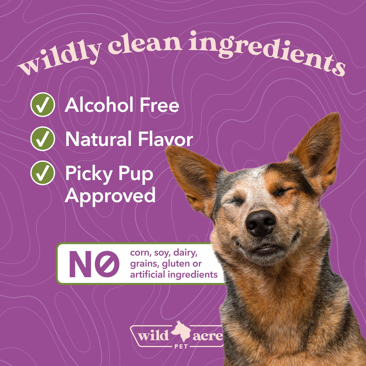 Milk Thistle for Dogs Liver Support 2 oz Z116